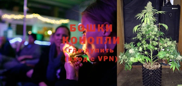 ALPHA PVP Куйбышев