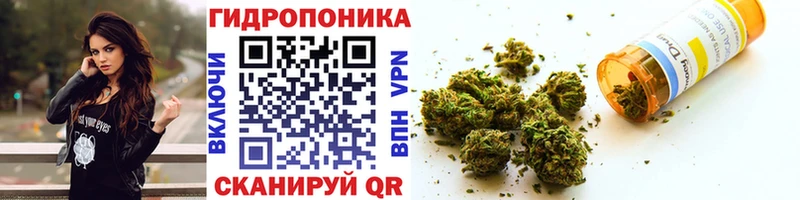 Шишки марихуана индика  где можно купить наркотик  Сухиничи 